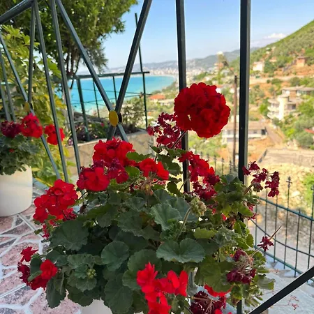 Mesaiz Vlorë