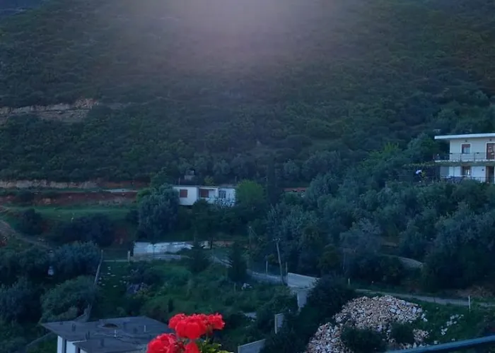 Mesaiz * Vlorë
