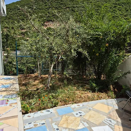 Mesaiz